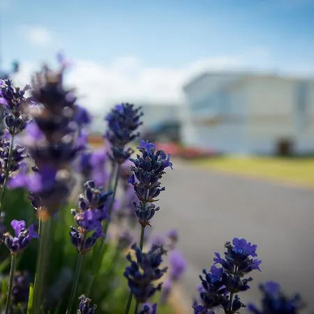 Park Merlo Holiday park