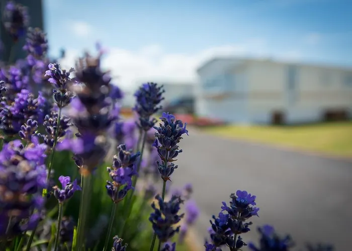 Park Merlo Holiday park